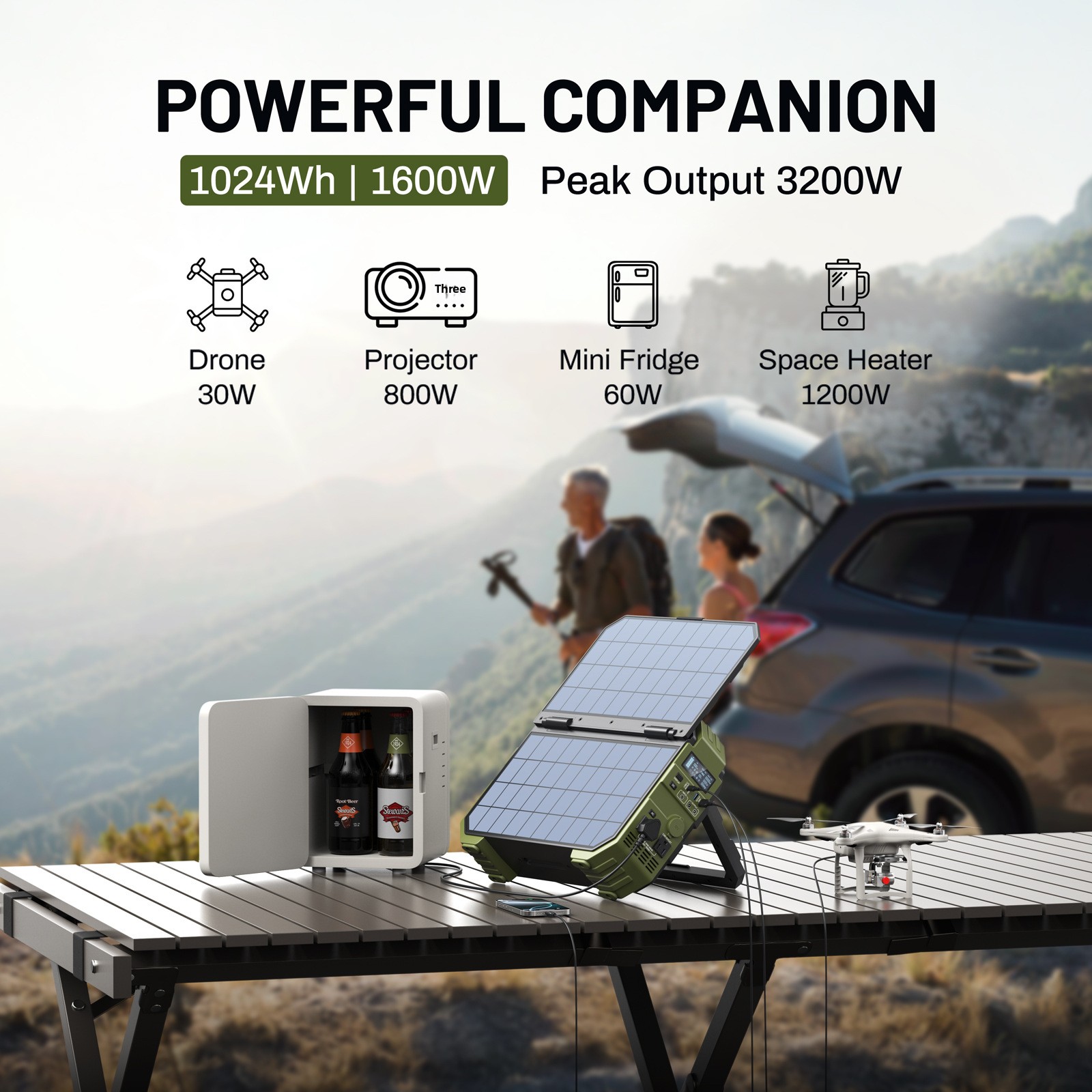 OEM ODM Customized 1000W High  - Small Appliances review and price